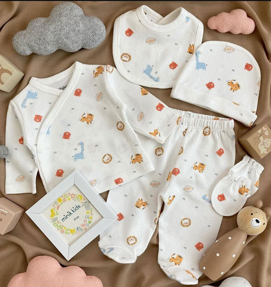 ست ۵ تیکه بیمارستانی بیسکویتی حیوانات